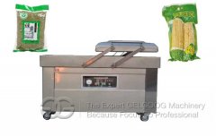 Vacuum Packaging Machine With Double Chamber GG400