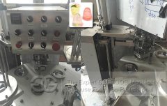 Rotary Cup Filling Sealing Machine Sold To Ecuador